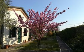 Casa Pianta